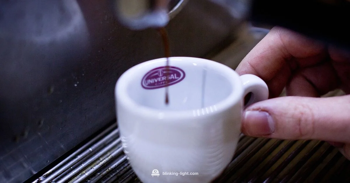 Breville Blink Fix Breville Blink Fix - Blinking Light