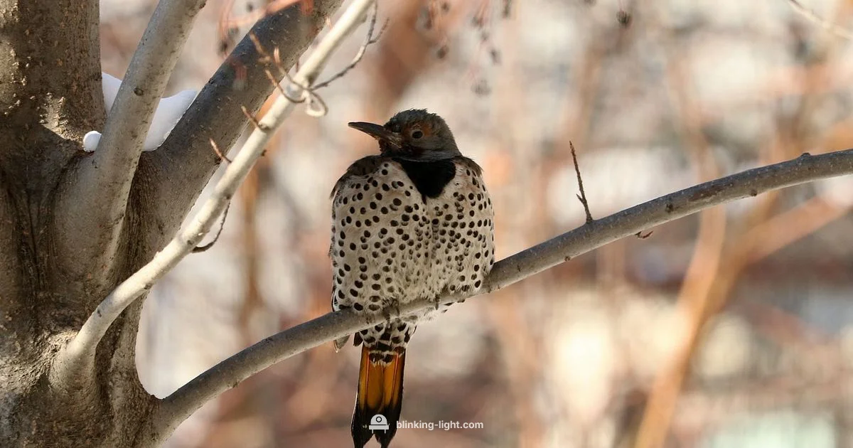 Flicker Fix - Blinking Light