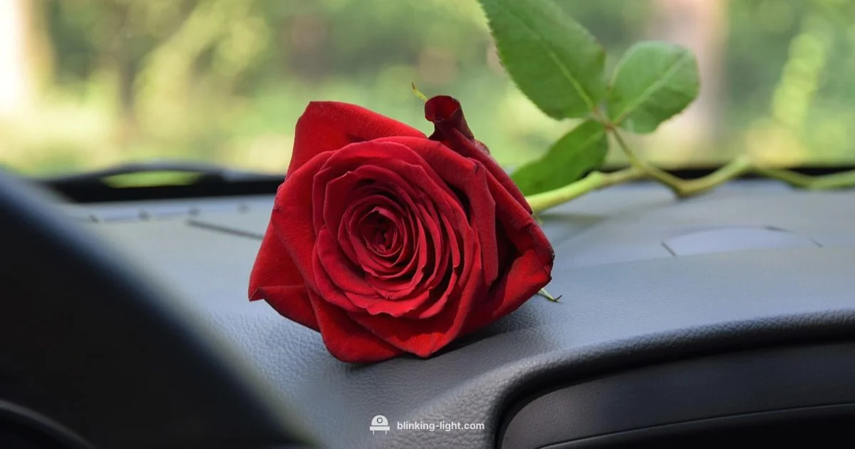 Blinking Light Guide