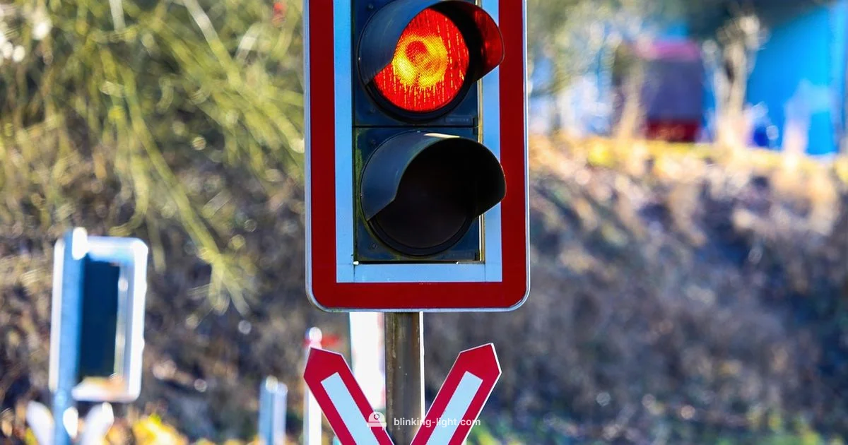 Blinking Yellow Safety Blinking Yellow Safety - Blinking Light