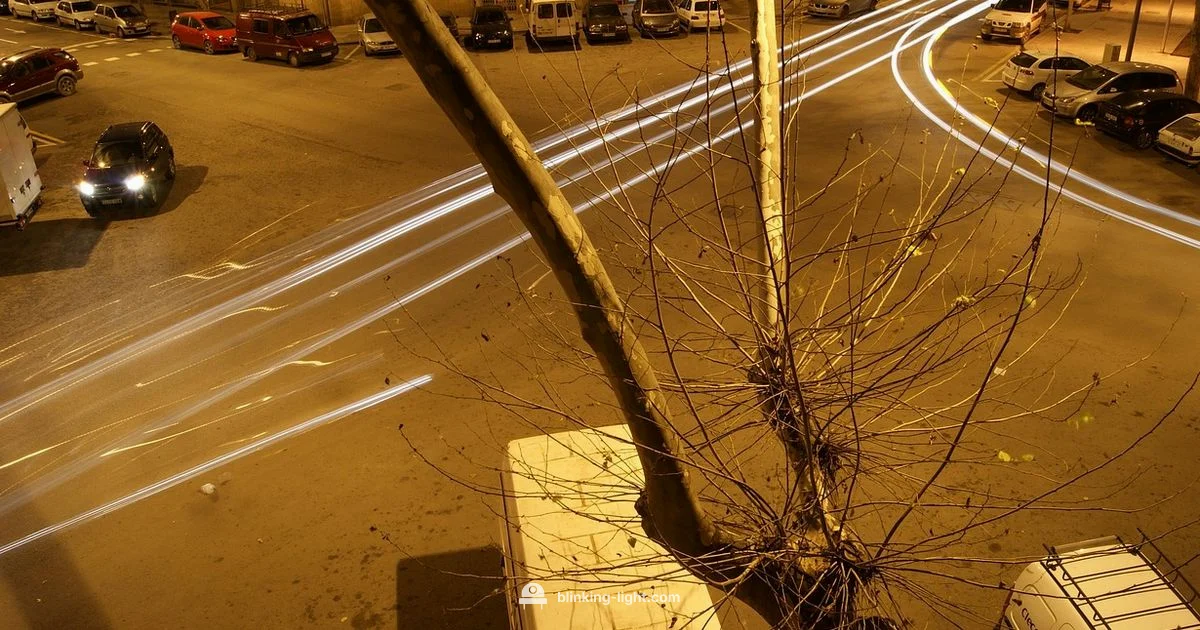 Flashes and Health - Blinking Light