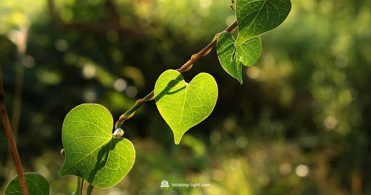 Blinking Light Project