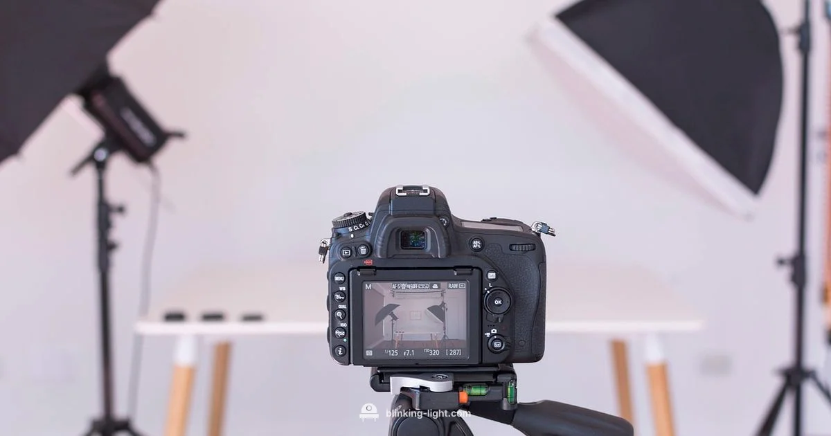 Blink Camera Setup Blink Camera Setup - Blinking Light