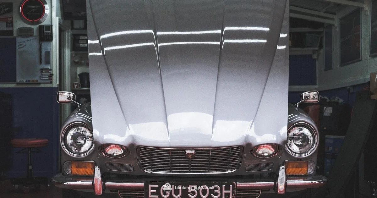 VSC & Engine Guide - Blinking Light