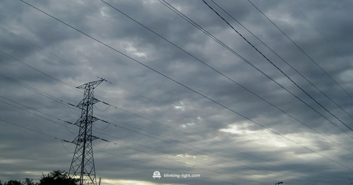 Blinking Light Guide