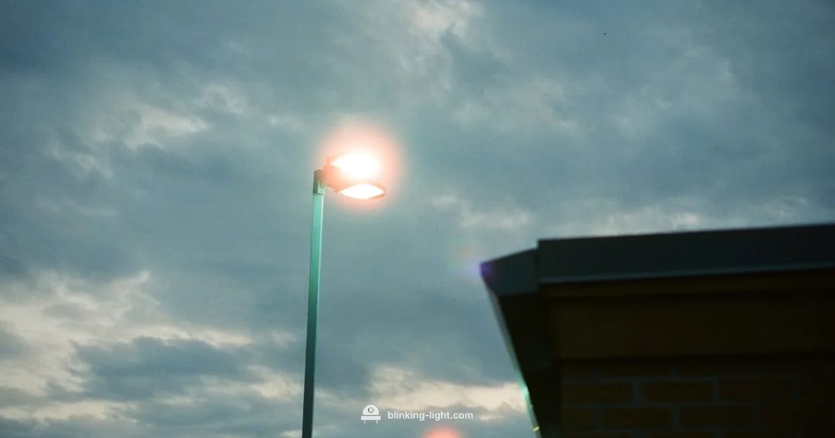 9-Blink Guide - Blinking Light