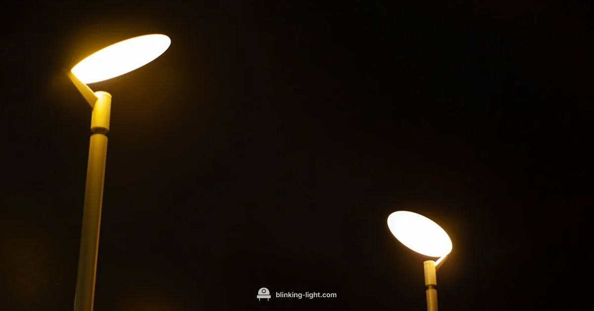 Blink Indicator Guide Blink Indicator Guide - Blinking Light