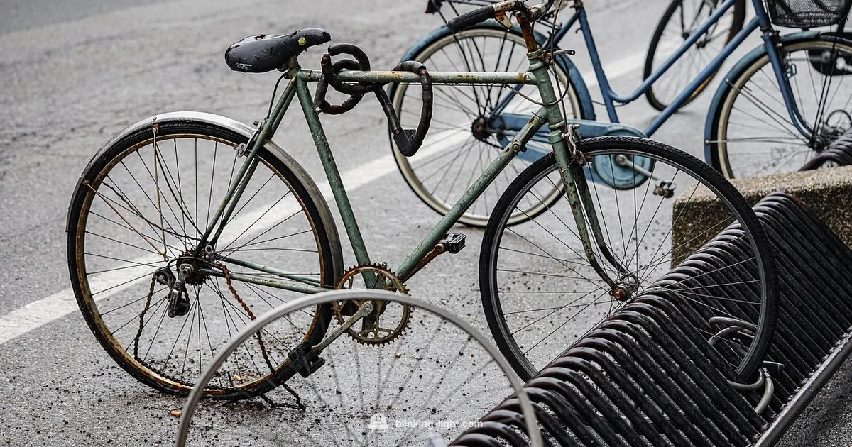 Cycle Light Guide Cycle Light Guide - Blinking Light