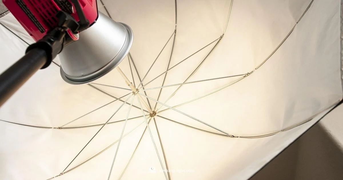 Flashing Lights Release Flashing Lights Release - Blinking Light