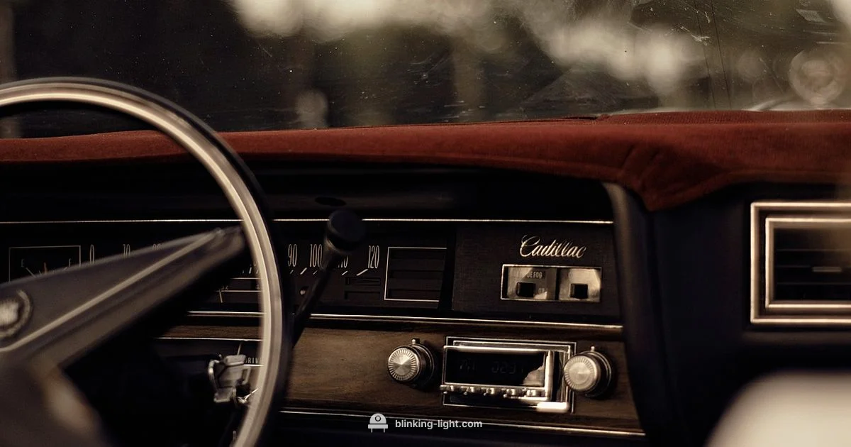 VSC Blinking Guide VSC Blinking Guide - Blinking Light