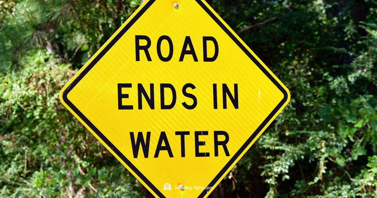 Flashing Lights Safety - Blinking Light