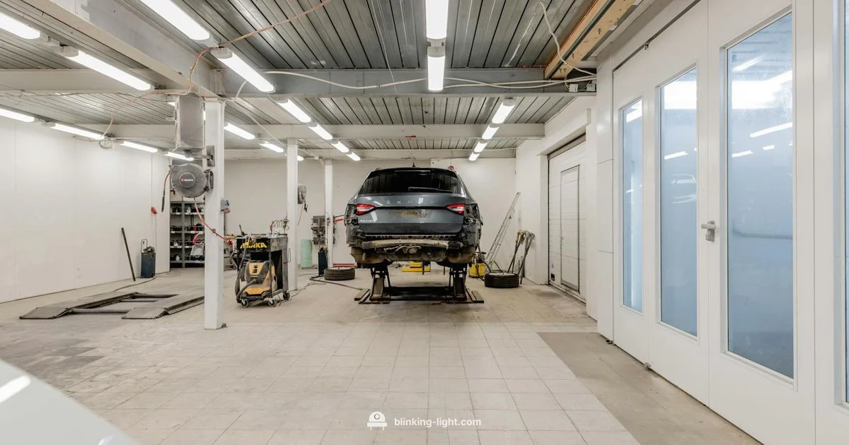 LiftMaster Blink Guide - Blinking Light