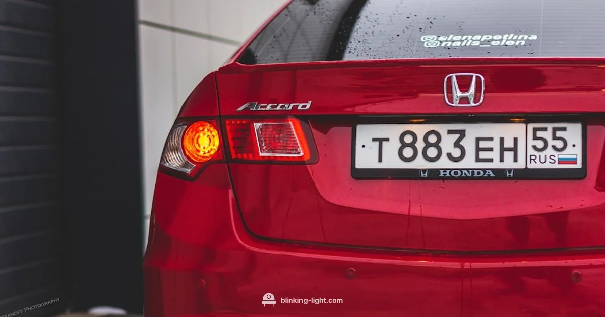 VSA Light Meaning - Blinking Light