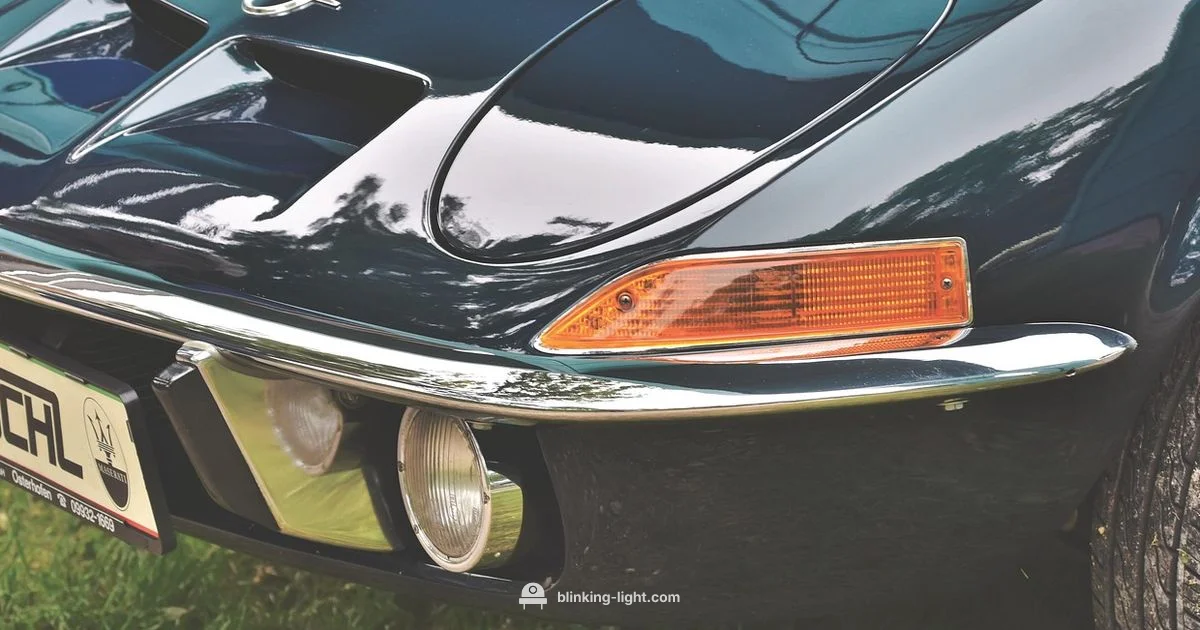 Blinking Light Guide