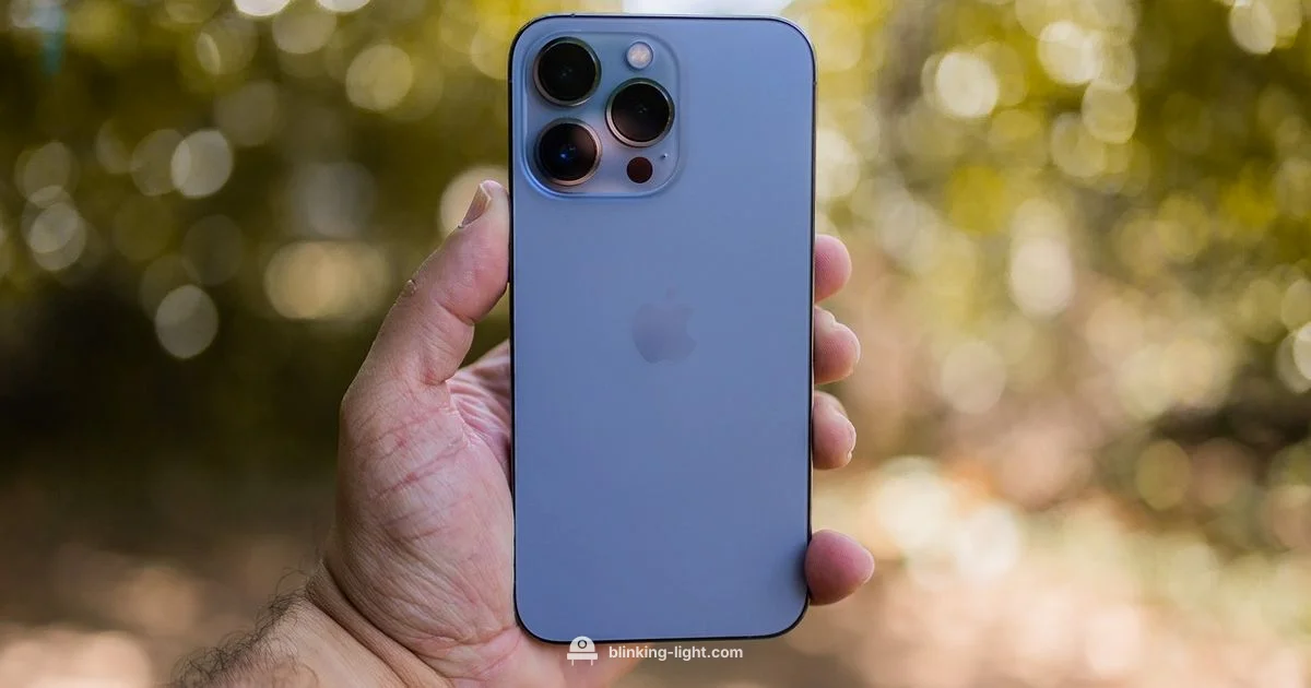 Blinking Light Guide