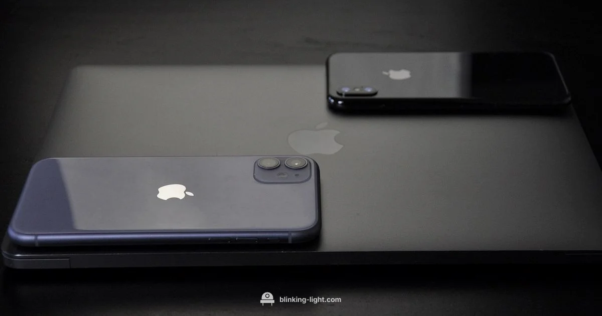 Blinking Light Guide