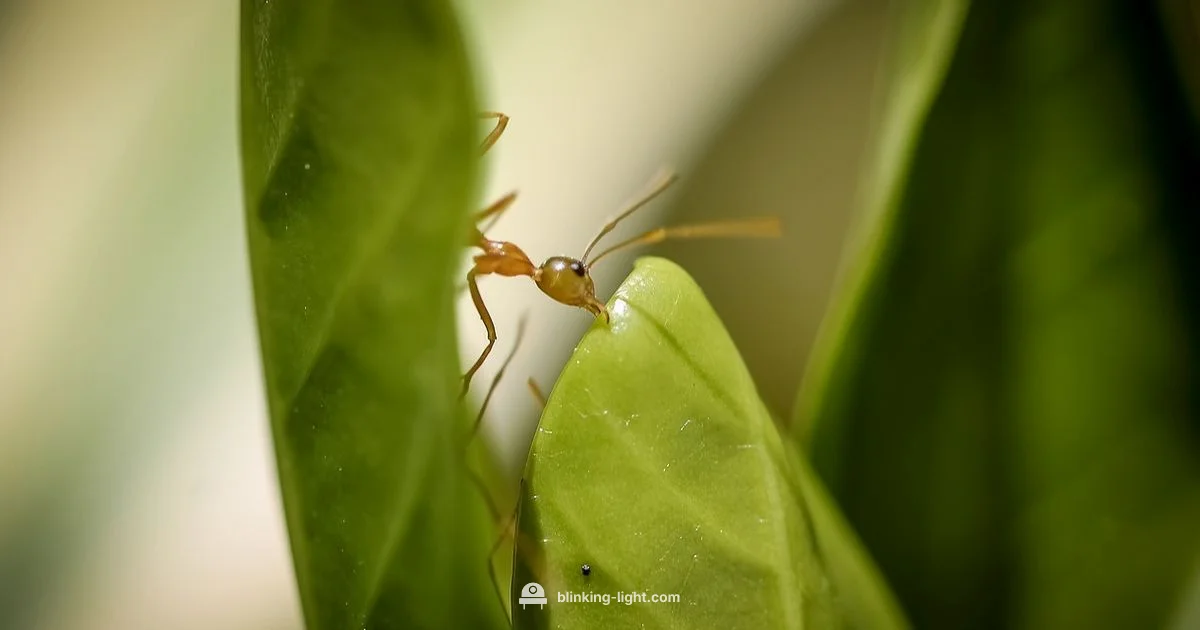 Nest Indicator Light - Blinking Light
