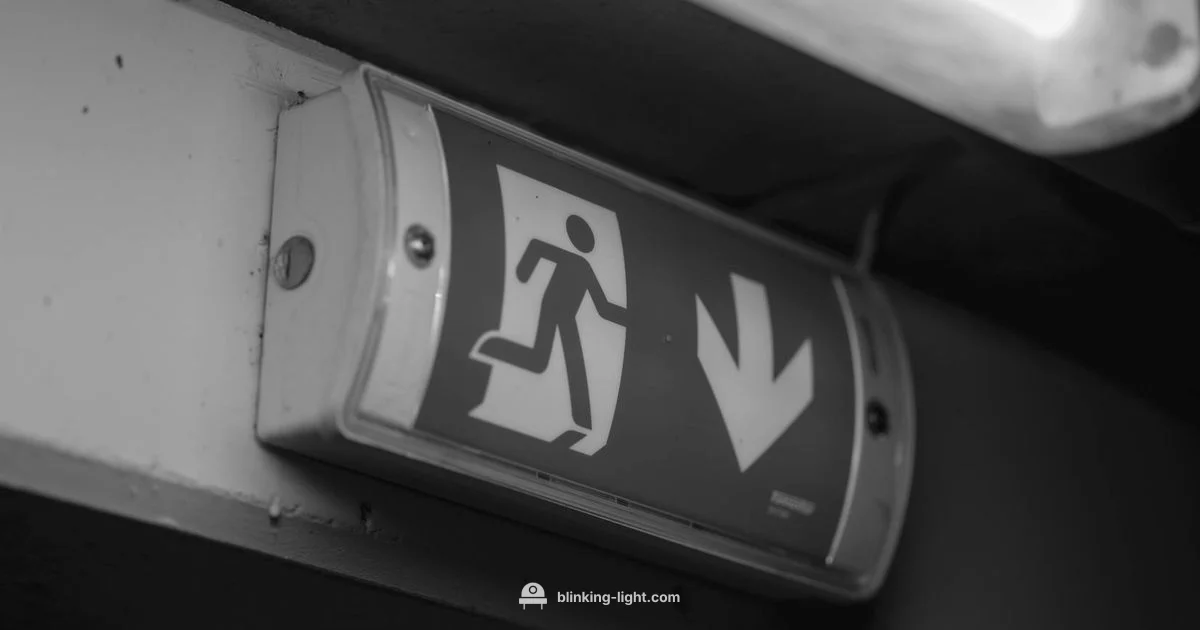 Blinking Signals Blinking Signals - Blinking Light