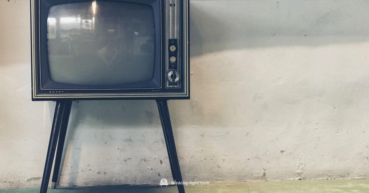 Blinking Light Guide Blinking Light Guide