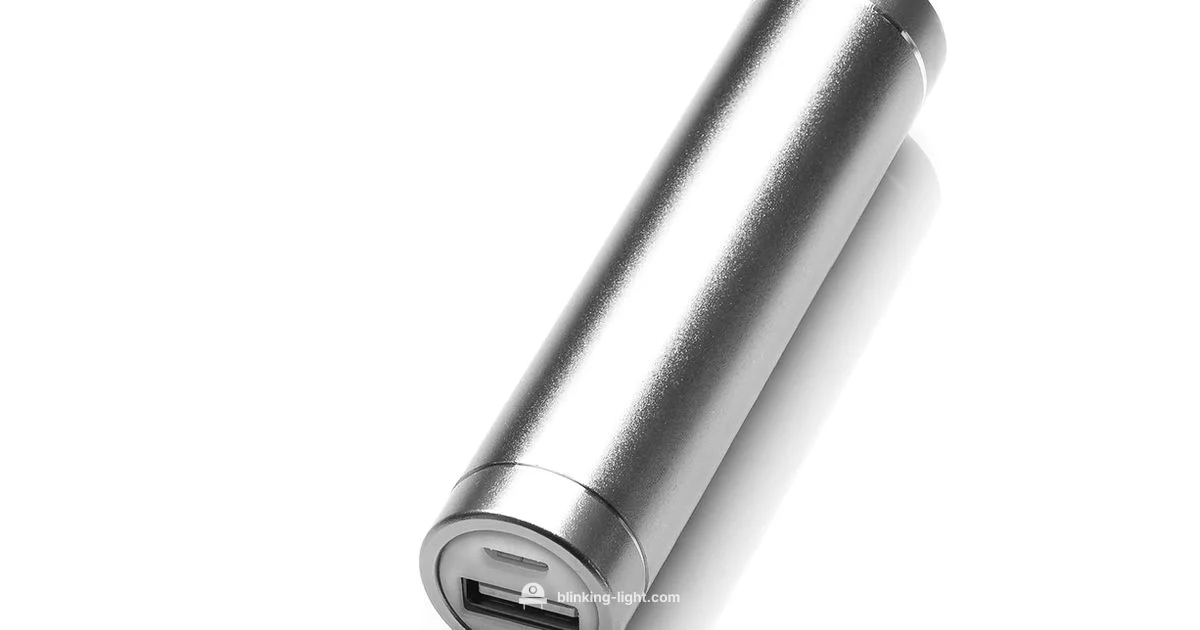 Charger Indicator Lights - Blinking Light