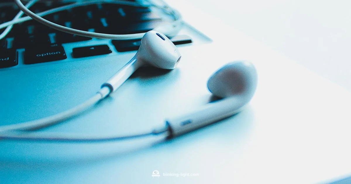 Blinking Light Guide