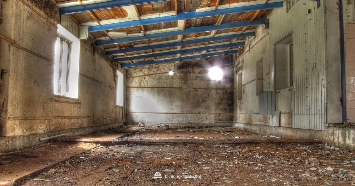 Garage Indicator Guide - Blinking Light