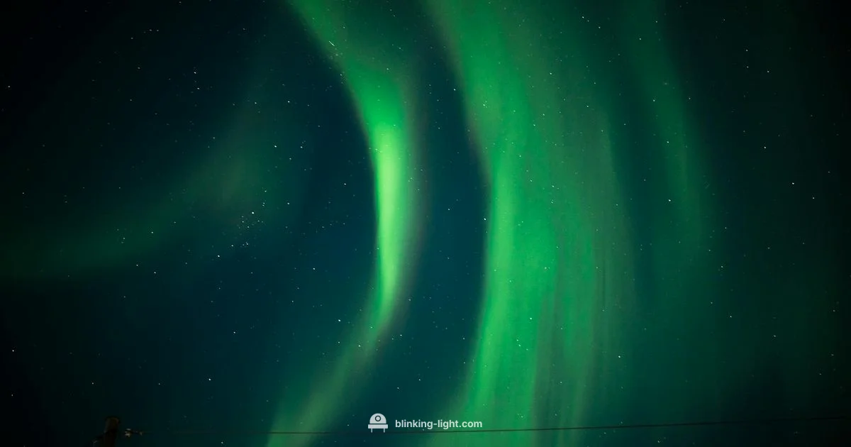 Sky Signals Revealed Sky Signals Revealed - Blinking Light