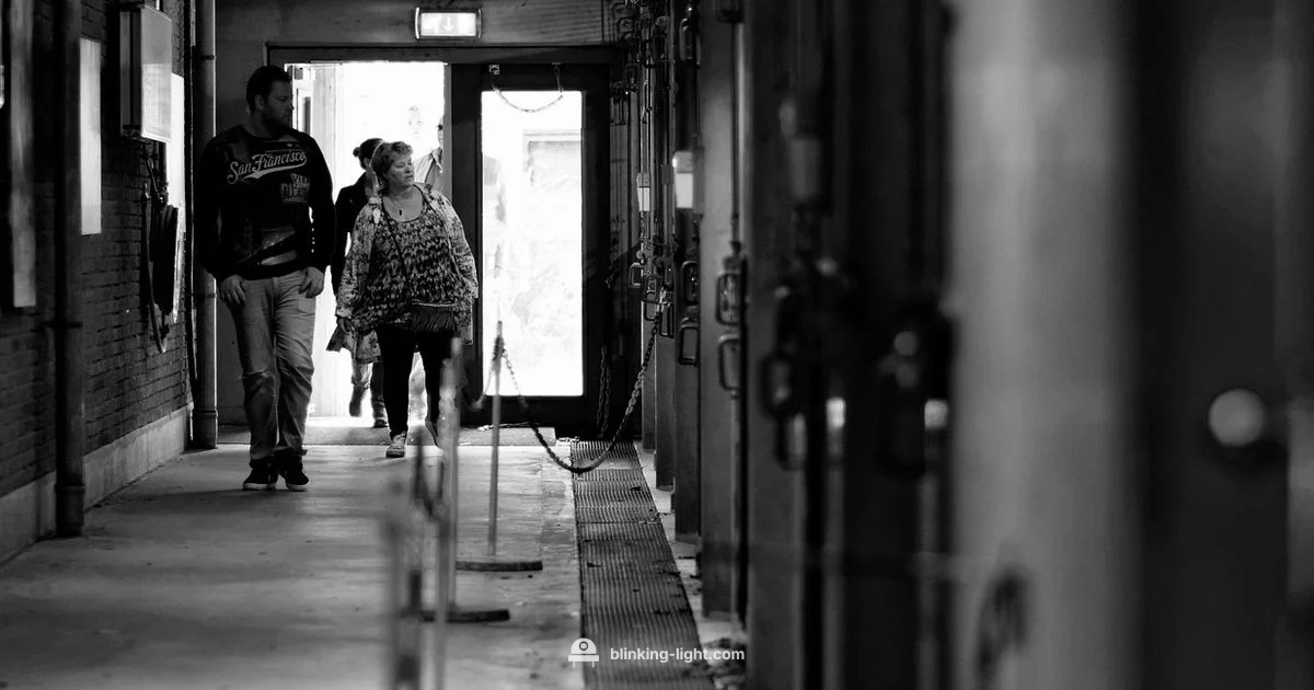 Blink Motion Light Fix - Blinking Light