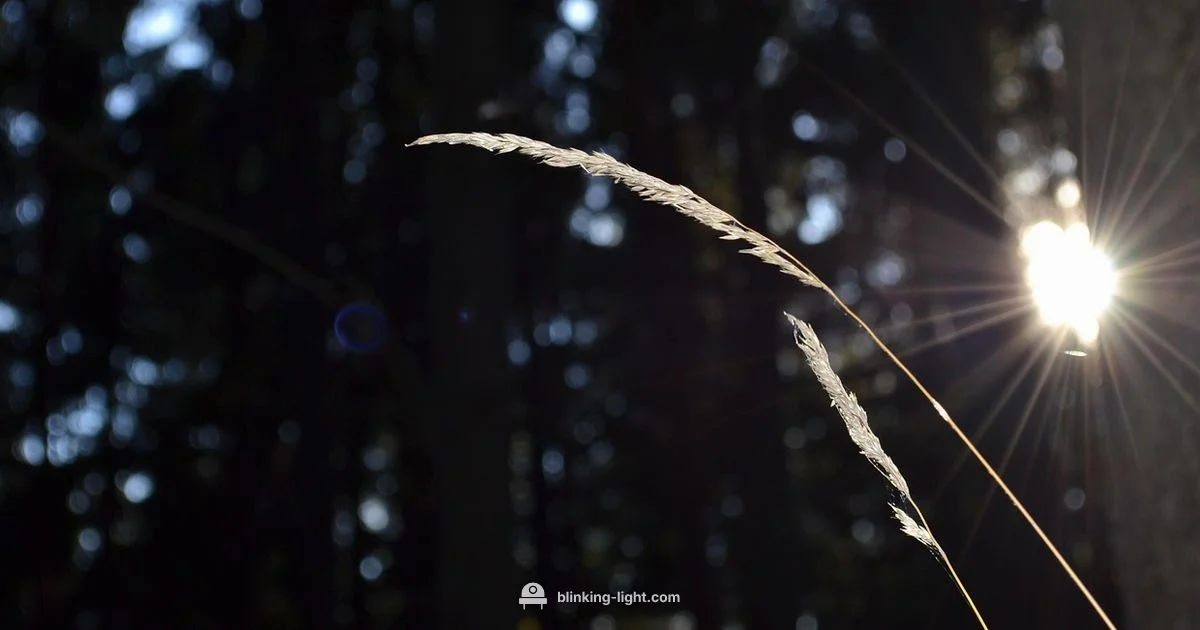 Twinkling Lights - Blinking Light