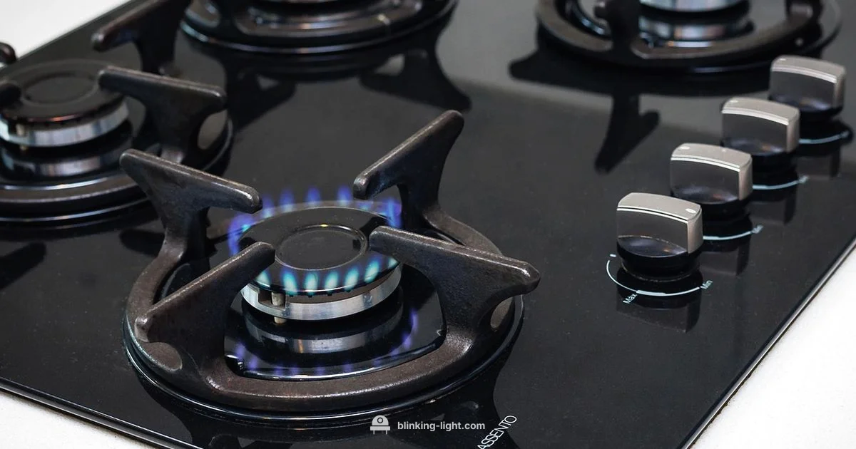 Bosch Indicator Help - Blinking Light