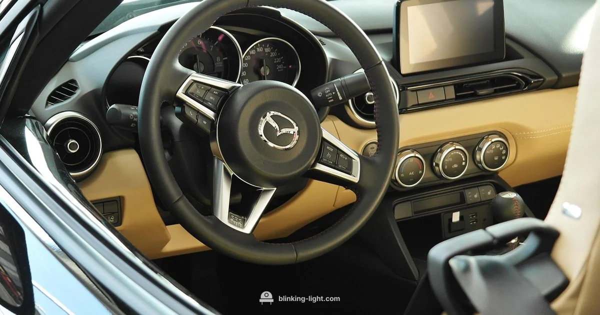 Check Engine Light - Blinking Light