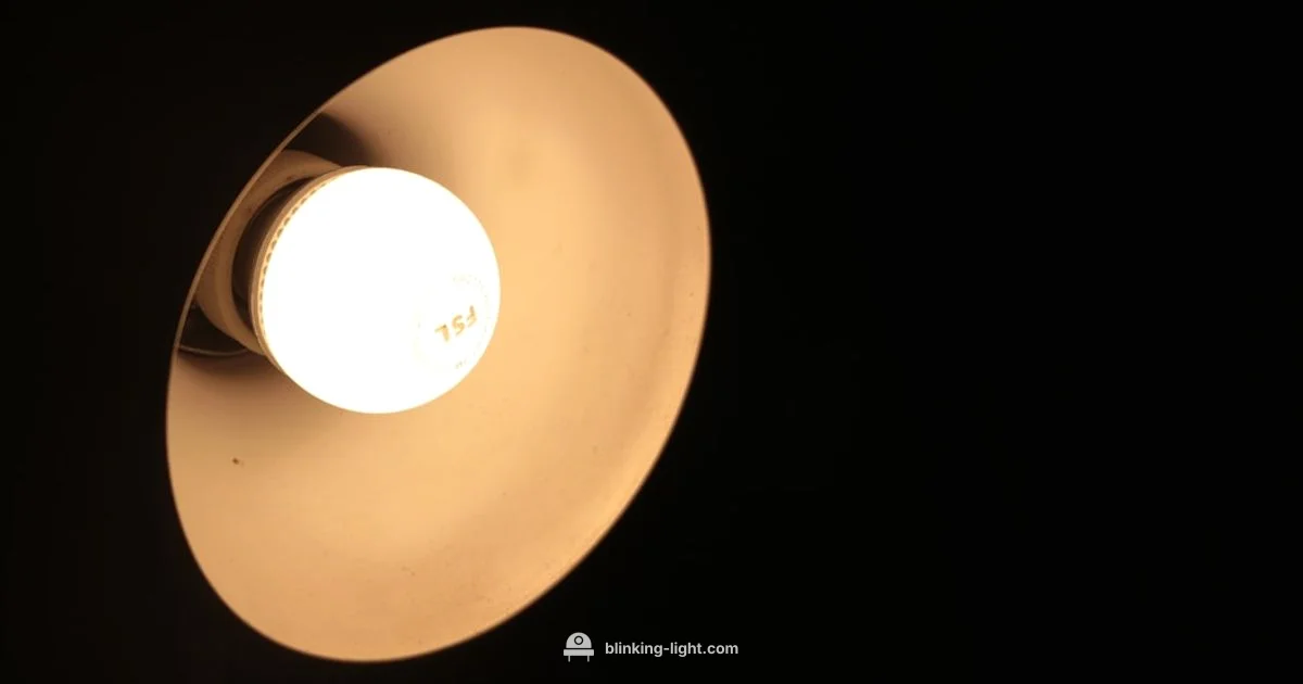 Blinking Light Guide