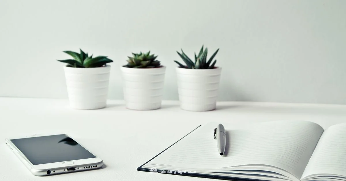 eero Blinking Light Guide