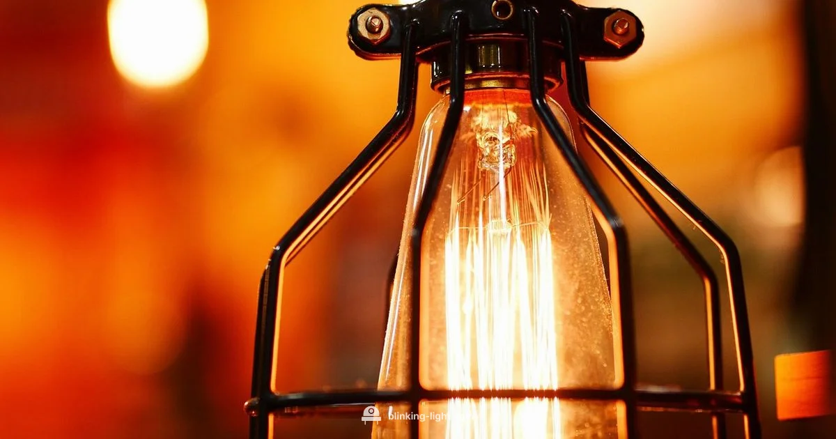 Flashing Light Guide Flashing Light Guide - Blinking Light