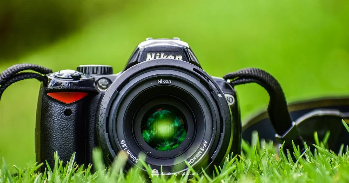 Green Light Guide - Blinking Light