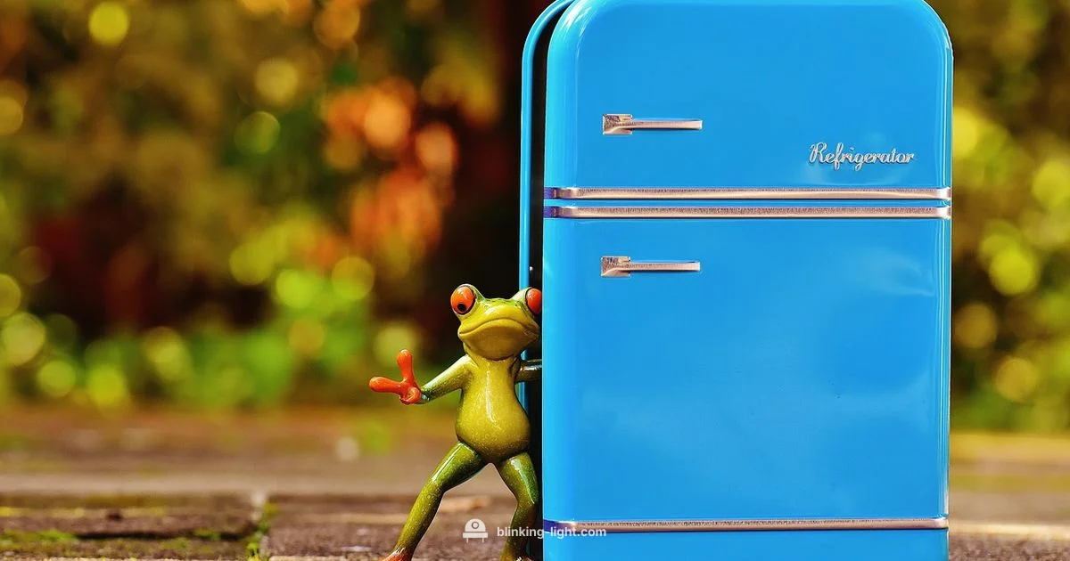 Blinking Fridge Light Blinking Fridge Light - Blinking Light