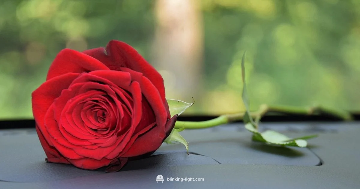 Red Dash Warning - Blinking Light