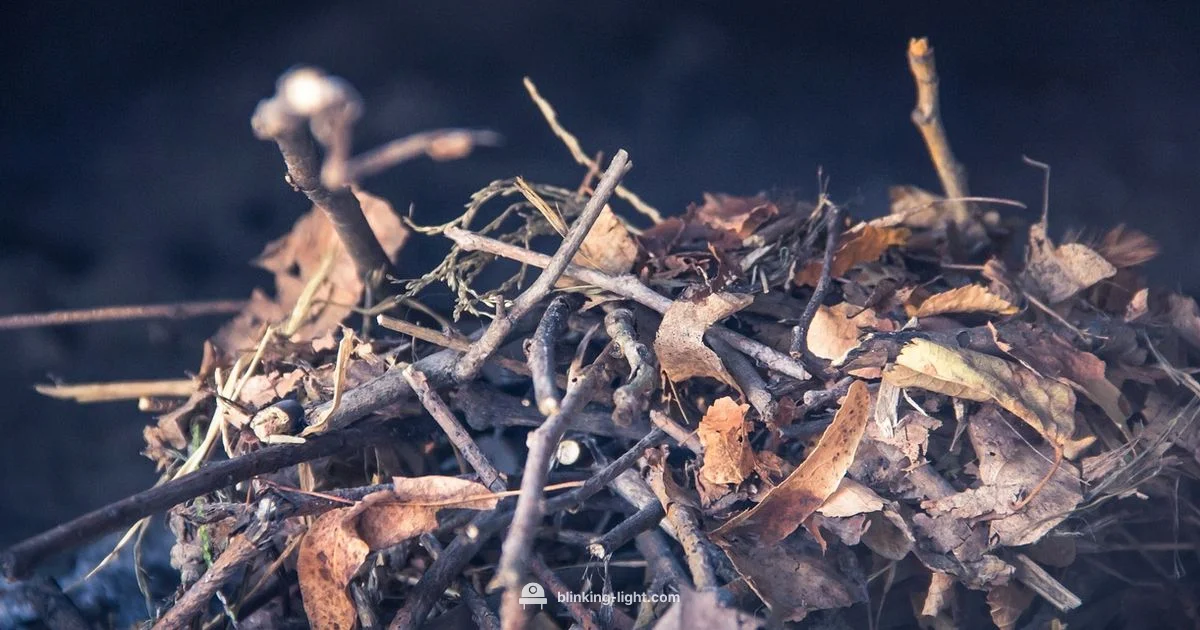 Carrier Furnace Blink - Blinking Light