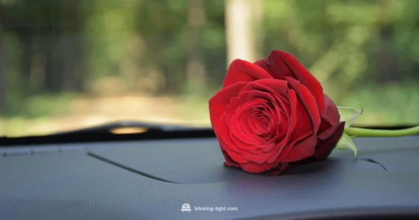 Blinking Red Light Guide - Blinking Light