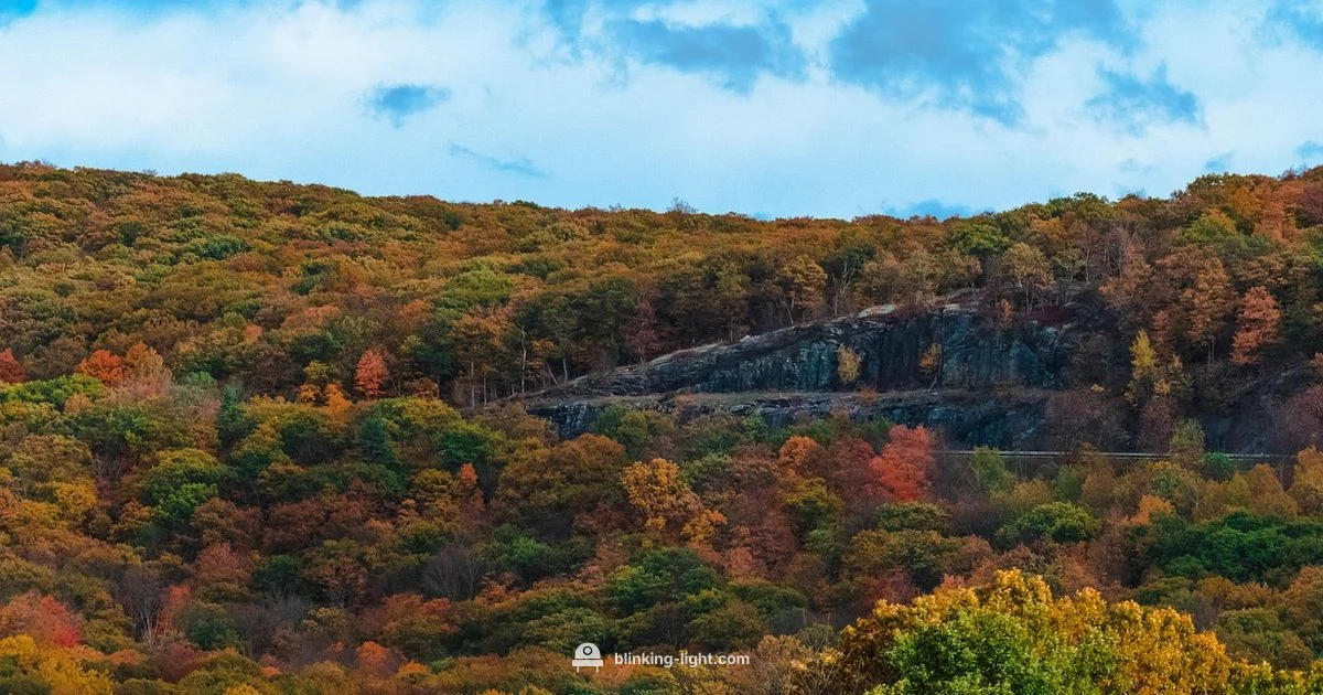 Green Light Meaning - Blinking Light