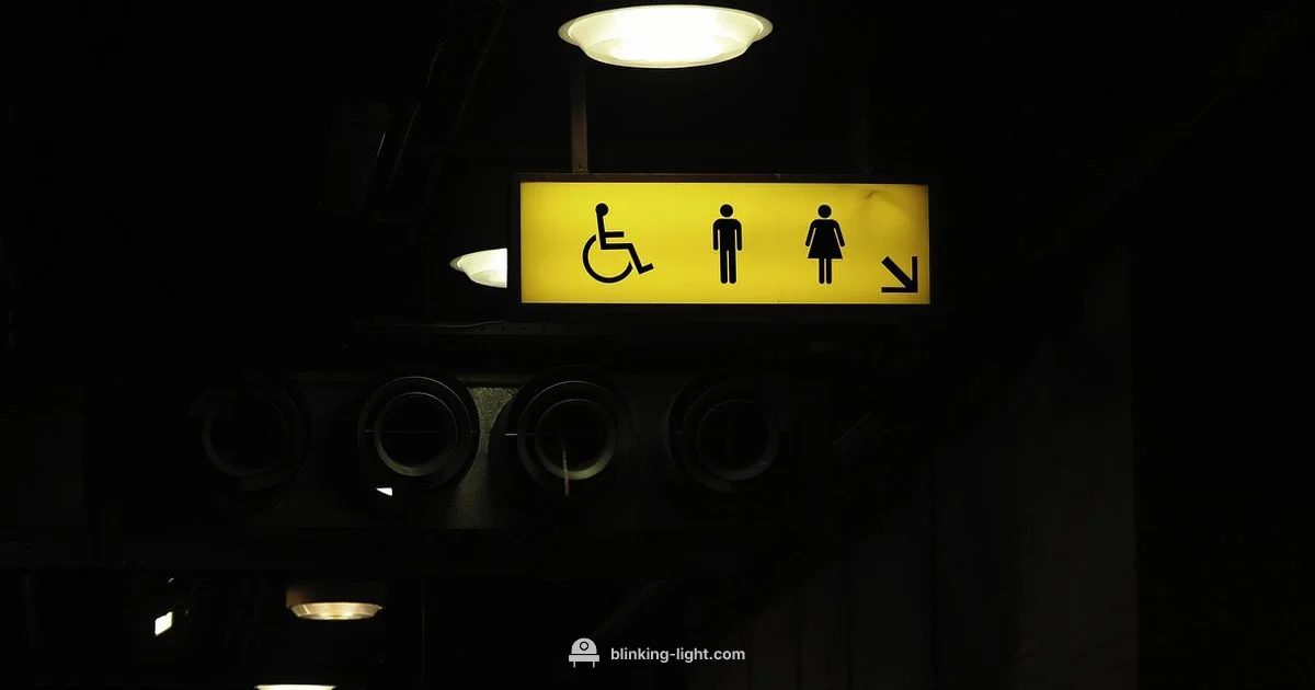 Blinking Signals - Blinking Light