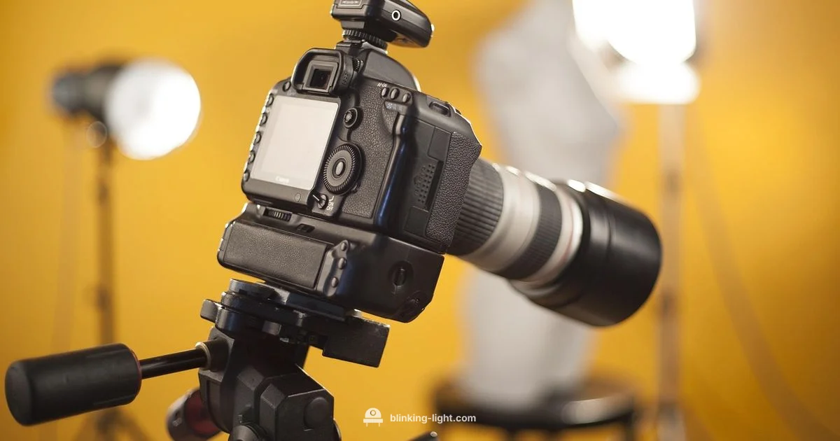 Best Flash for D850 - Blinking Light