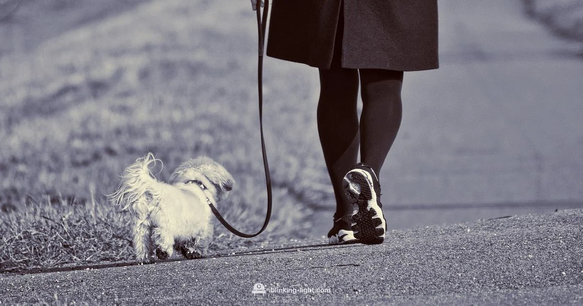 Visible Safety on Walks - Blinking Light