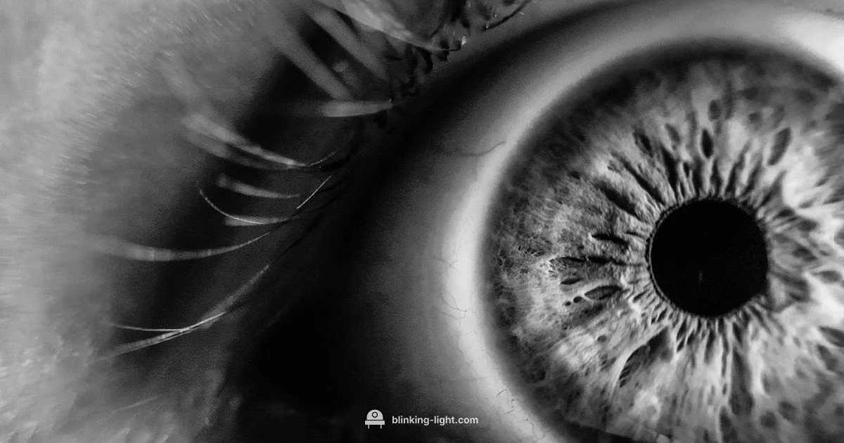 Flashes & PVD - Blinking Light