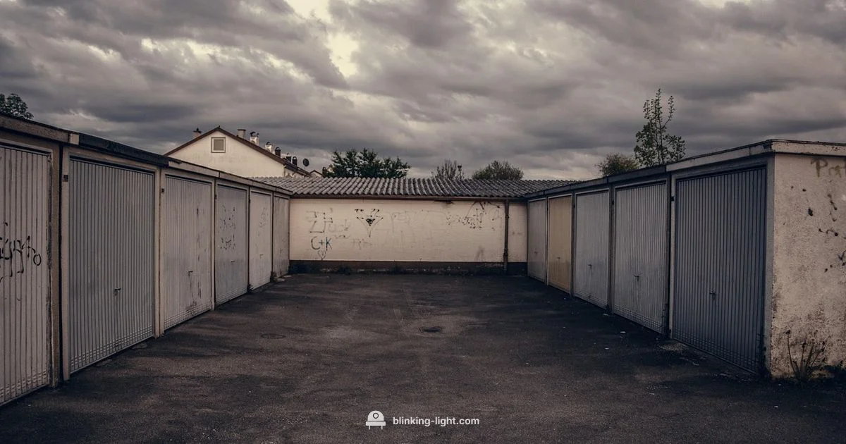 LiftMaster Light Codes - Blinking Light