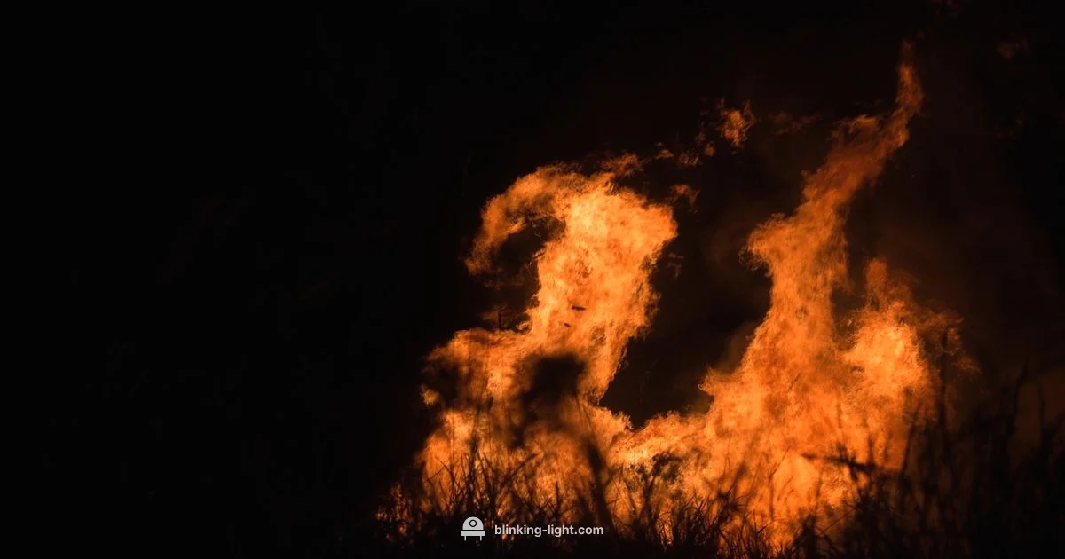 Furnace Light Code - Blinking Light