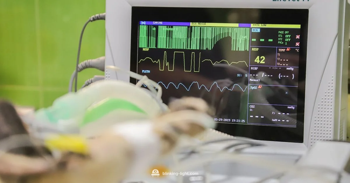 Monitor Indicator Fix - Blinking Light