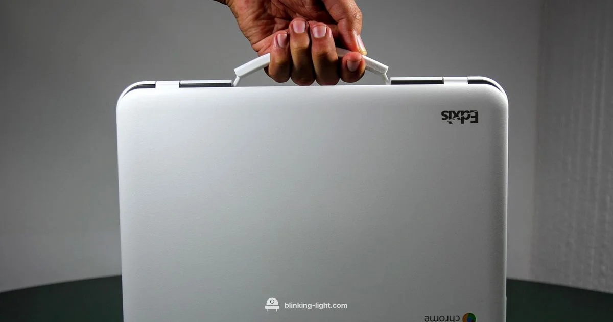 Indicator LEDs Indicator LEDs - Blinking Light