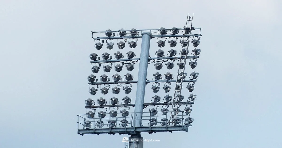 Blink Outdoor Flood Light - Blinking Light