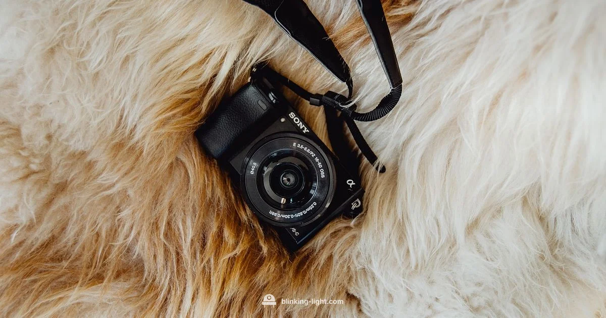 Red Light Troubleshooting Red Light Troubleshooting - Blinking Light